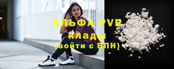 стафф Козловка