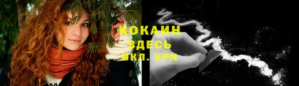 стафф Козловка
