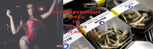 стафф Козловка