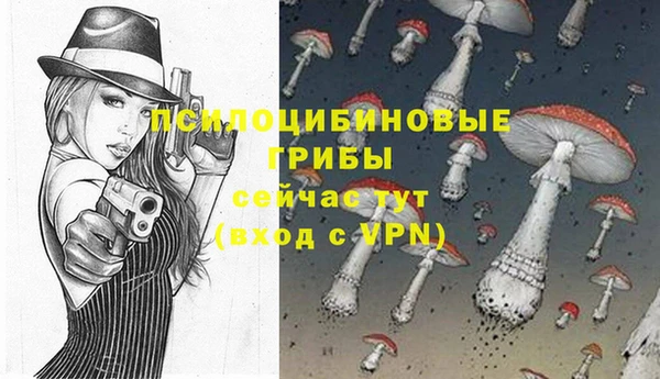 mix Кодинск
