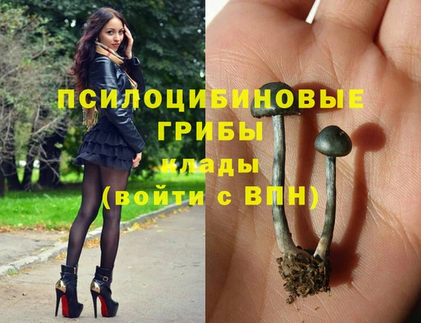 mix Кодинск
