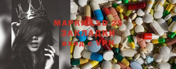 стафф Козловка