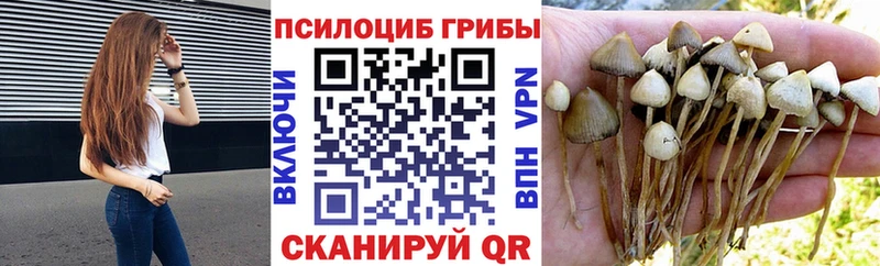 Купить закладки  Котово  Псилоцибиновые грибы мухоморы 